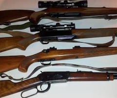 La Comisión Europea proyecta más restricciones sobre las armas para la caza deportiva